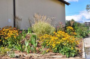 Miniatura Nowa Wieś (2012)