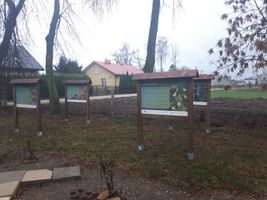 Miniatura zdjęcia 1