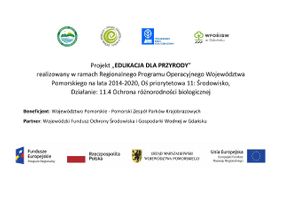 Miniatura zdjęcia 3