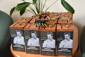 Miniatura zdjęcia 2
