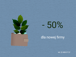 Miniatura promocja rabat 50%