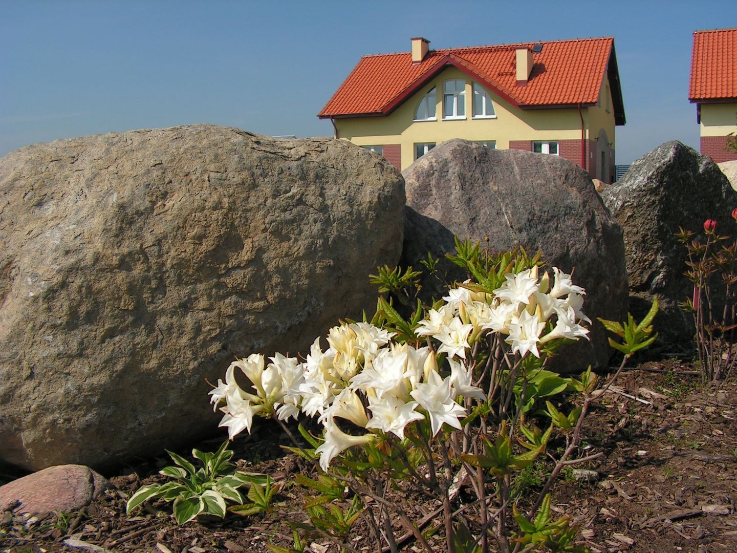 widok na ogród Botaniczny w Niegoszczy