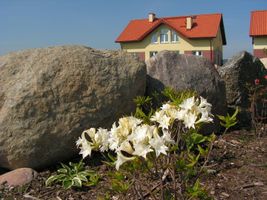 Miniatura widok na ogród Botaniczny w Niegoszczy