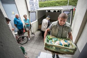 Miniatura zdjęcia 5