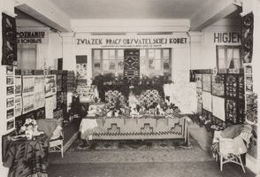 Miniatura zdjęcia 13