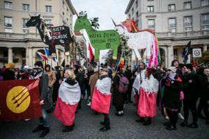 Miniatura zdjęcia 5