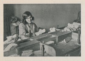 Miniatura zdjęcia 1