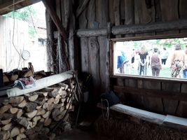 Miniatura zdjęcia 1