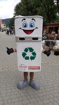 Miniatura zdjęcia 3