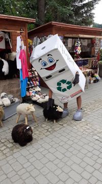 Miniatura zdjęcia 5