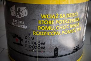 Miniatura zdjęcia 3
