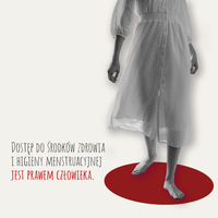 Miniatura zdjęcia 3