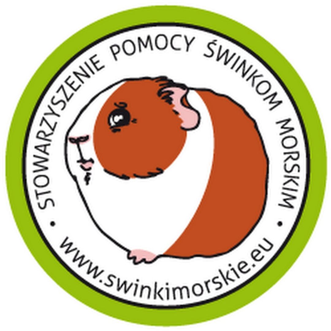 Czy świnkom Morskim Obcina Sie Pazurki Stowarzyszenie Pomocy Świnkom Morskim - Profil - ngo.pl