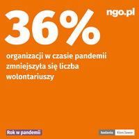 Miniatura zdjęcia 8