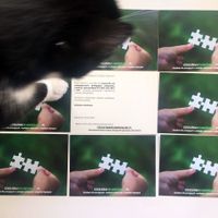 Miniatura Karta &quot;SzkoleniaBehawioralne.pl&quot;