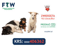 Miniatura zdjęcia 1