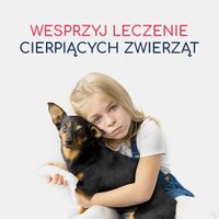 Miniatura zdjęcia 2
