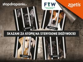 Miniatura zdjęcia 3