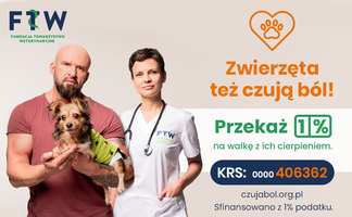 Miniatura zdjęcia 4