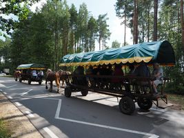 Miniatura zdjęcia 5