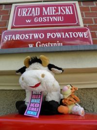 Miniatura zdjęcia 2