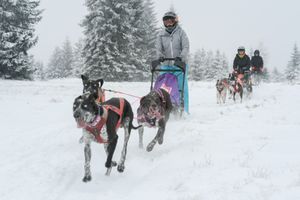 Miniatura Zimowe treningi w Świeradów Zdrój 