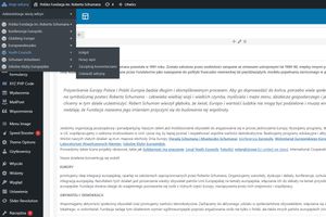 Miniatura Sieć witryn Wordpress (5 niezależnych stron)