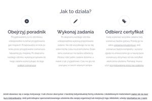 Miniatura Samodzielny kurs organizacji gier miejskich