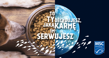 Miniatura zdjęcia 3