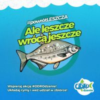 Miniatura zdjęcia 1