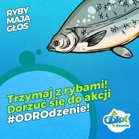 Miniatura zdjęcia 5