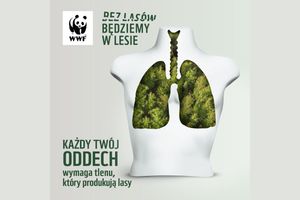 Miniatura zdjęcia 3