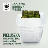 Miniatura zdjęcia 2