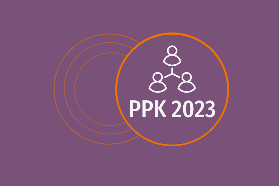 PPK w lutym i marcu 2023 r. Co powinny zrobić organizacje pozarządowe