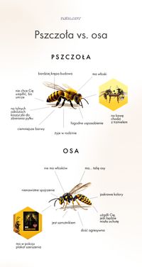 Miniatura zdjęcia 1