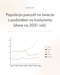 Miniatura zdjęcia 3