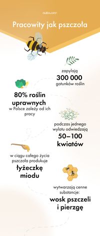 Miniatura zdjęcia 2