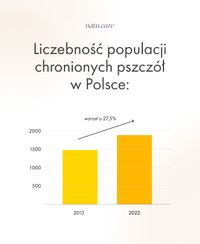 Miniatura zdjęcia 5