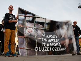 Miniatura zdjęcia 2