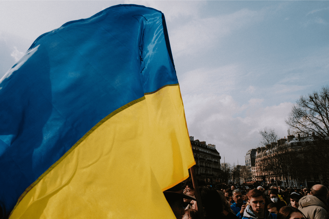Lingva Polska, una plataforma gratuita para aprender polaco para ucranianos, ha publicado un artículo