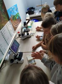 Miniatura Zapraszamy do udziału w zajęciach z zakresu edukacji ekologicznej w naszej ekopracowni.