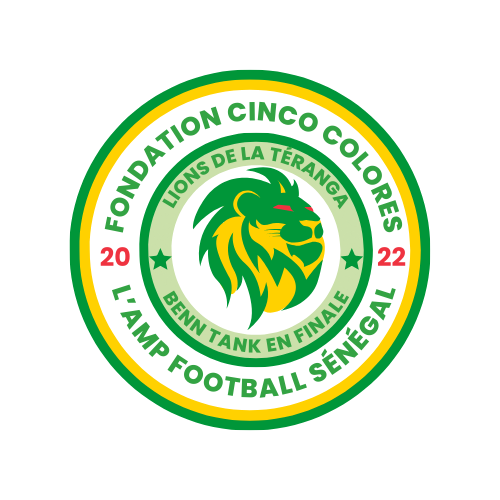 Projekt Amp Football Senegal