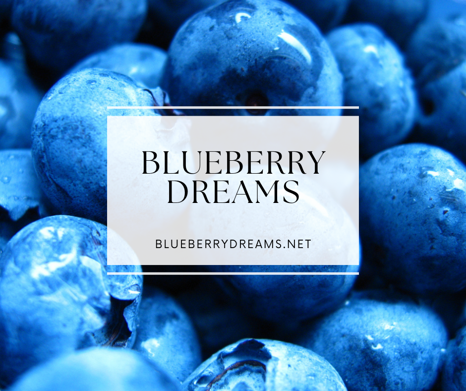 blueberrydreams.net