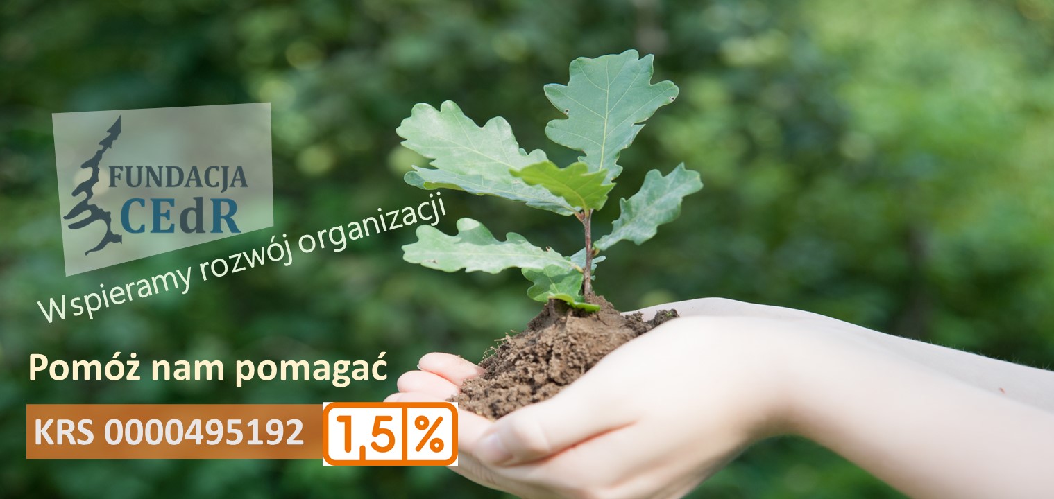 Pomocja odpisu 1,5% podatku na Fundację obraz małej sadzonki drzewka trzymanej w dłonaich