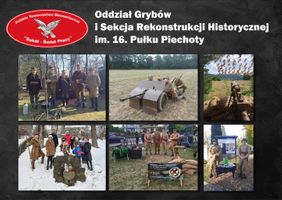 Miniatura Aktywność oddziału Grybów oraz SRH. im. 16. Pułku Piechoty.