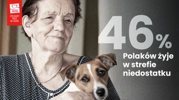 Miniatura zdjęcia 3