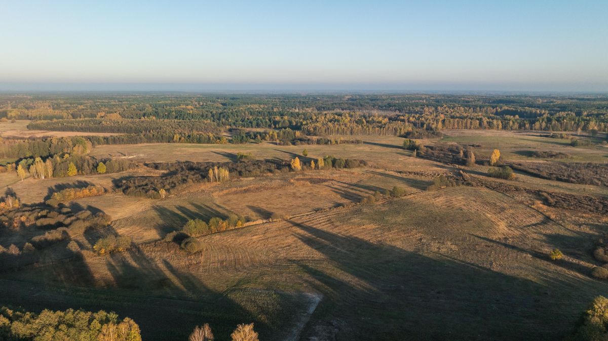 Mozaikowy krajobraz Lasów Sobiborskich 