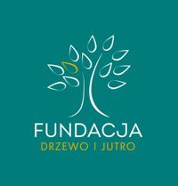 Miniatura zdjęcia 5