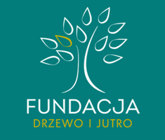 Miniatura zdjęcia 2