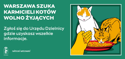 Miniatura zdjęcia 3